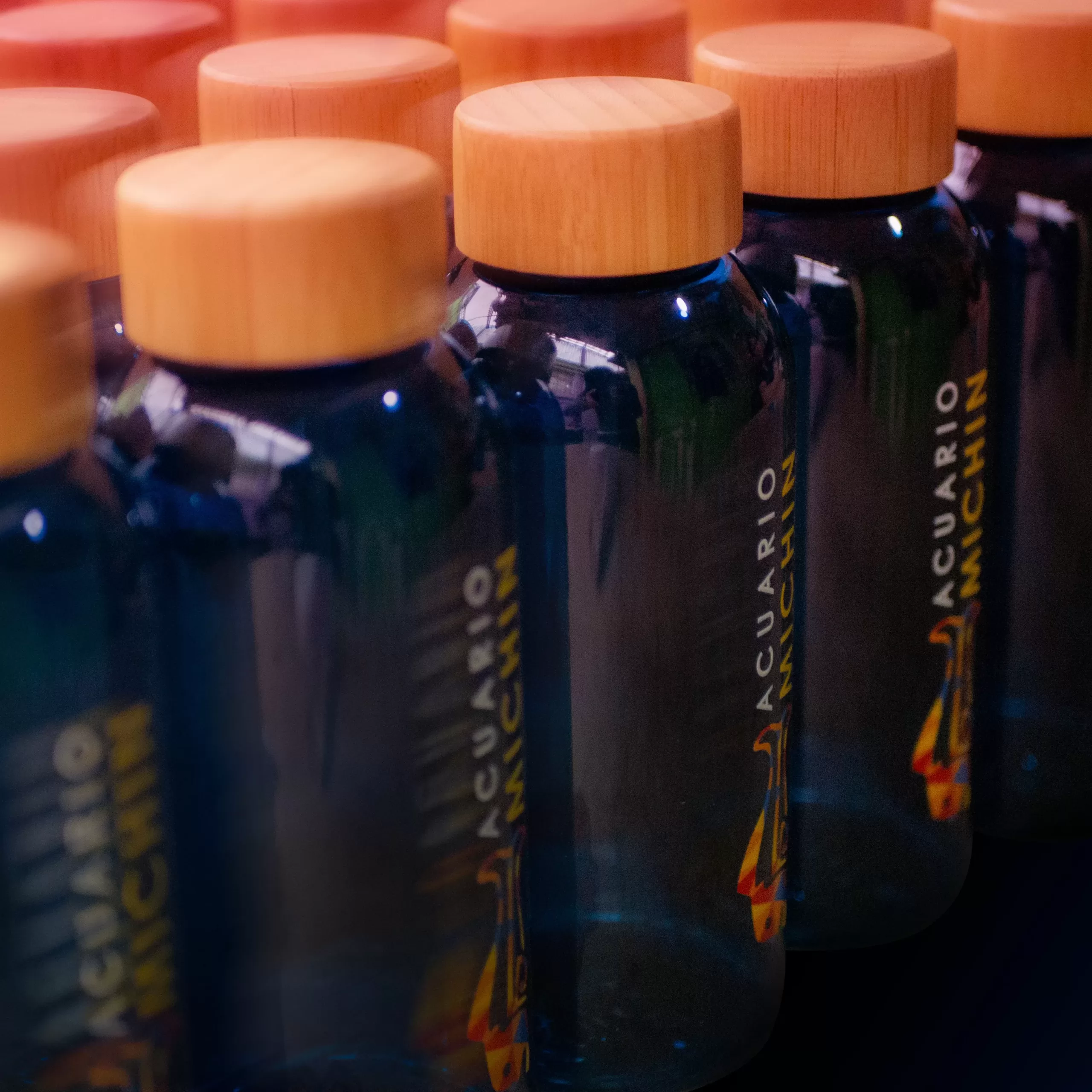 Botellas personalizadas Acuario Michin